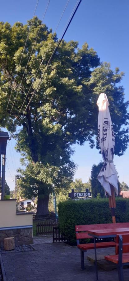 Penzion U Draci Skaly Hotell Svojse Exteriör bild